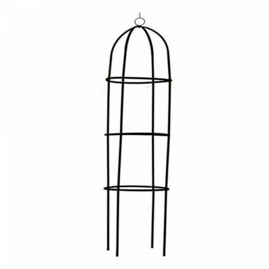 Kinzo Tuinroos Zuil - Groen 185X40Cm